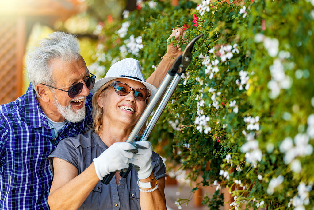 Gardening